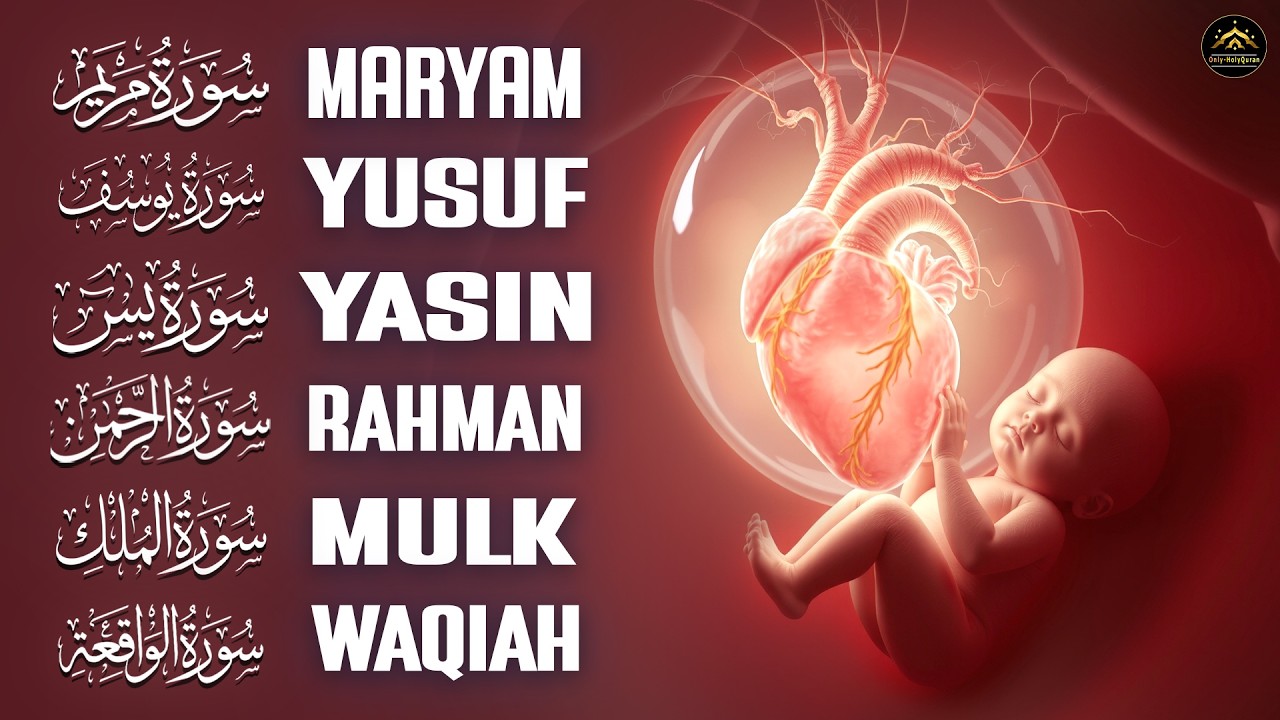 Pregnancy Quran Surah Full Of Noor | Surah Maryam,Yusuf,Yasin,Mulk | Faith And Devotion For Mothers