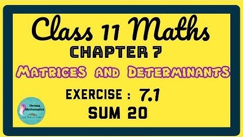 class 11 Maths chapter 7 exercise 7.1 sum 20