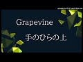 Grapevine-手のひらの上(cover)