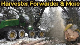 John Deere 1270G | BIG trees