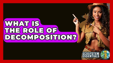 What Is The Role Of Decomposition? - Ecosystem Essentials