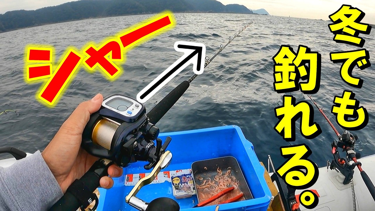 冬の和歌山で爆釣⁉ 完全フカセの”破壊力”がエグい！！