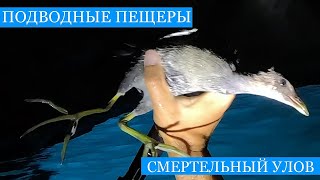 Подводные ПЕЩЕРЫ Крыма! Смертельный УЛОВ!! Морская высокая кухня на каяке)))