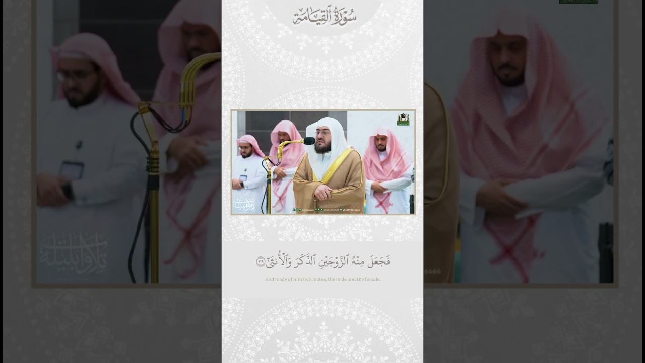 ﴿أيحسب الإنسان أن يترك سدى﴾ د. #بندر_بليلة #shorts