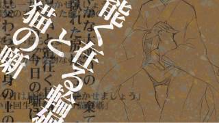 A story of a common reincarnation and a cat