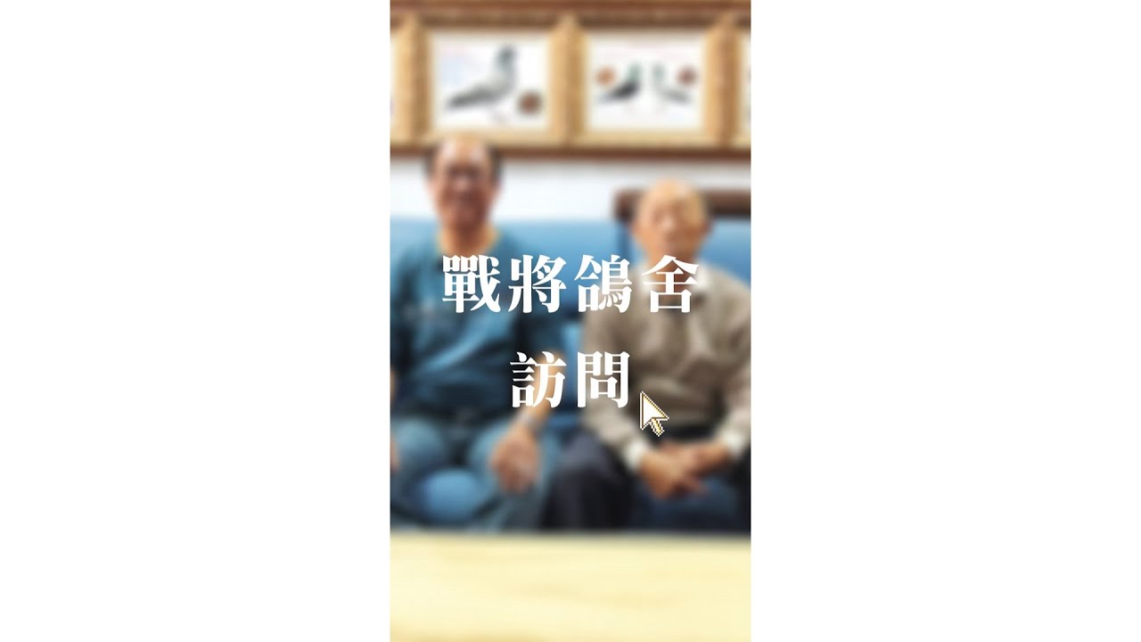 專訪【戰將鴿舍】縱橫南北海翔組全伯馬神兵の利器 