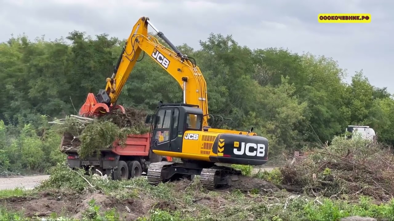 Работа До и После. СНОС ДЕРЕВЬЕВ, ВЫКОРЧЕВКА ПНЕЙ, ПОГРУЗКА ПОРУБОЧНЫХ ...