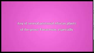 Pyrethrum Meaning | Wordogram
