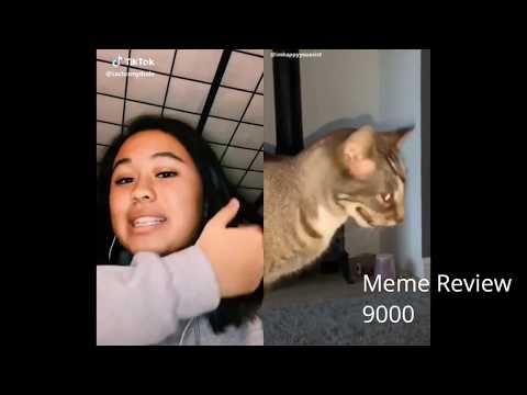 Tik Tok Funny Ironic Meme Compilation Sarcastic Videos 1 (OFFENSIVE)