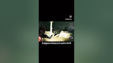 Thrilling Endgame Chase #dbd #shorts