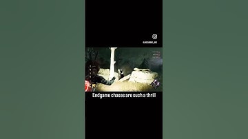 Thrilling Endgame Chase #dbd #shorts