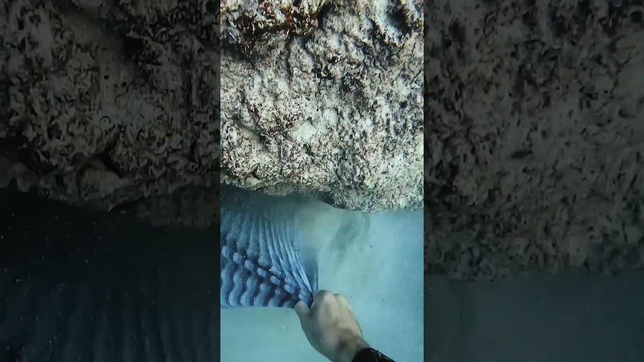 Massive object found underwater 