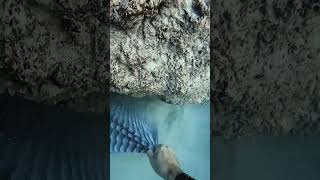 Massive object found underwater #shorts