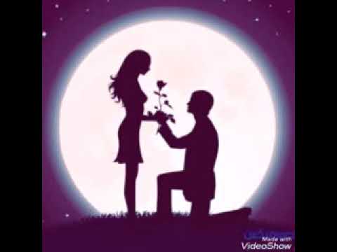 يا وردتى يا اغلى جنه فى دنيتى