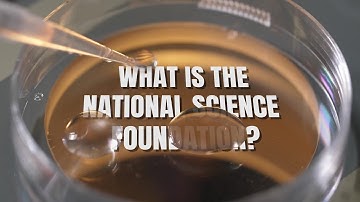 What is the National Science Foundation?