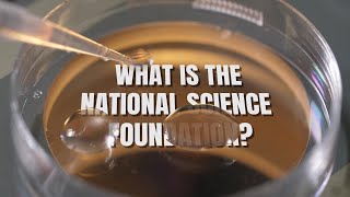 What is the National Science Foundation?