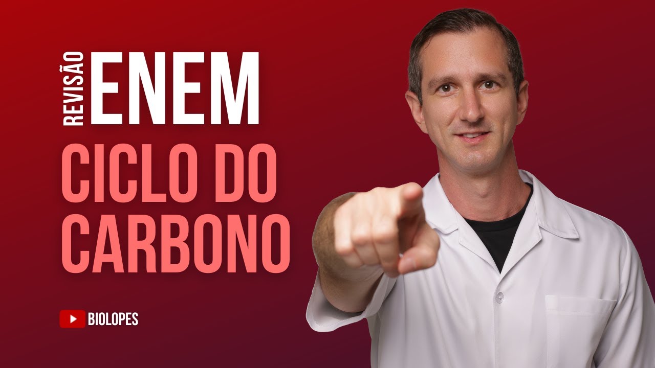 ENEM (2021) - Organismos autótrofos e heterótrofos realizam processos complementares que associam...