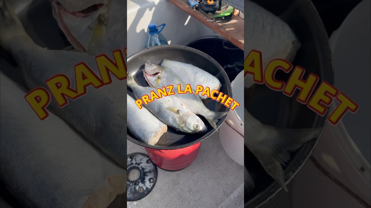 LUFARI gustosi #apstomis #savagegear ‘