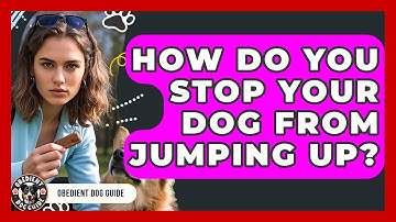 How Do You Stop Your Dog From Jumping Up? | Obedient Dog Guide
