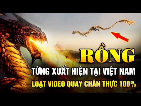 12 BẰNG CHỨNG về sự tồn tại của RỒNG, tại Việt Nam Rồng từng hiển linh |Ngẫm Radio