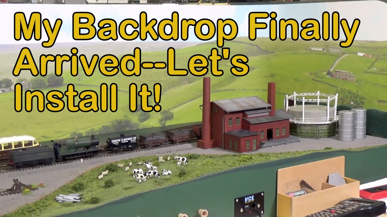 My Backdrop Finally Arrived—Let’s Do It! (196)