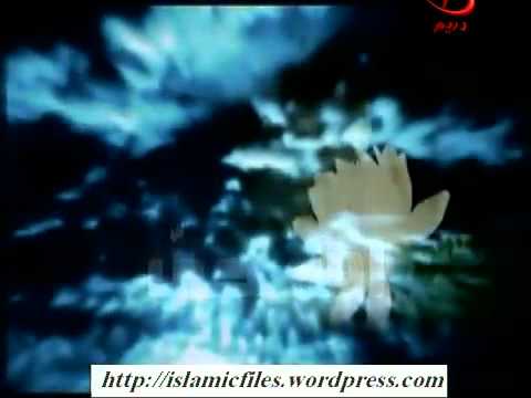 مدحت صالح الله حى