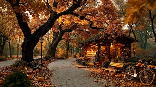 Slow Piano Jazz at a Nostalgic Autumn Park Café 🍂 Golden Leaves & Pumpkins for Reading ,Rest ,Relax☕