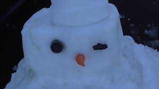 Snowman Cache * Happy Christmas ! Geocaching UK