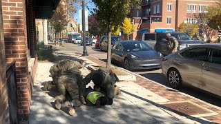 CBP arrest Construction Worker in downtown Skokie, Illinois