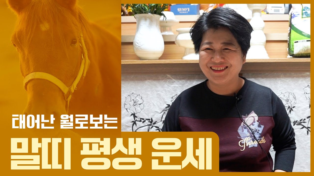 태어난 월생으로 보는 평생의 '말띠 운세' [1월생~12월생]