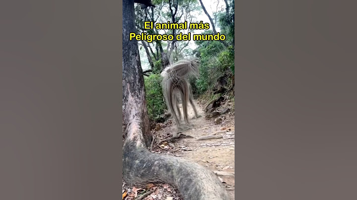 El animal más peligroso del mundo #animales #insectos #mosquito