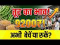 Tur Rate: तूर ने मचाया तहलका! भाव सीधे 9200 की ओर! अब क्या करें किसान?