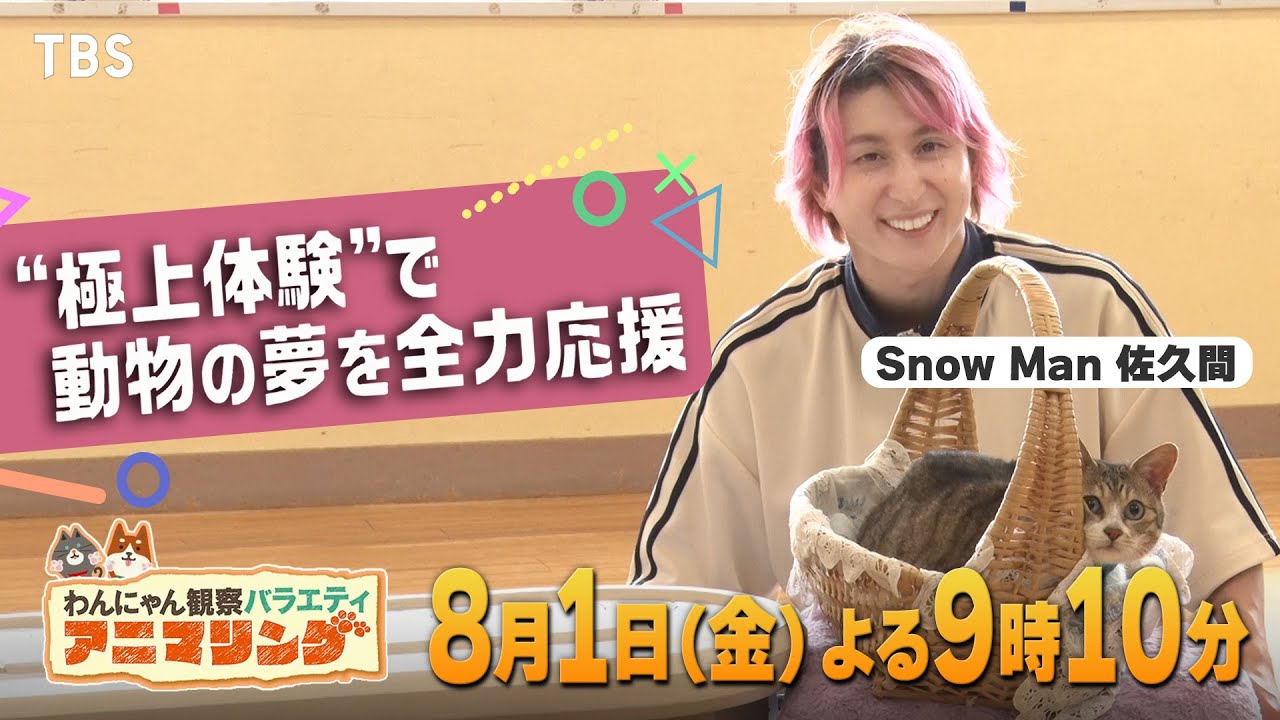 Snow Man - ⭐︎ma⭐︎ 佐久間大介 佐久間 大介 - PROFILE | Snow Man｜MENT RECORDING