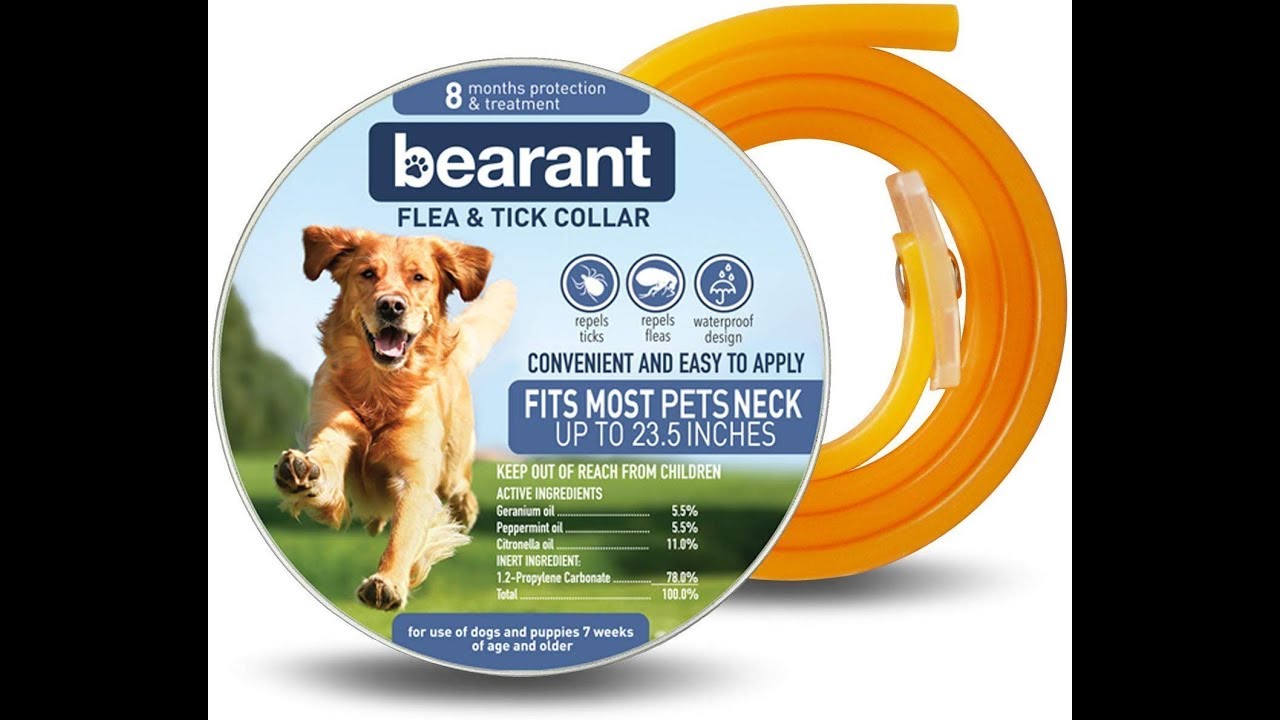 flea collar making dog sick