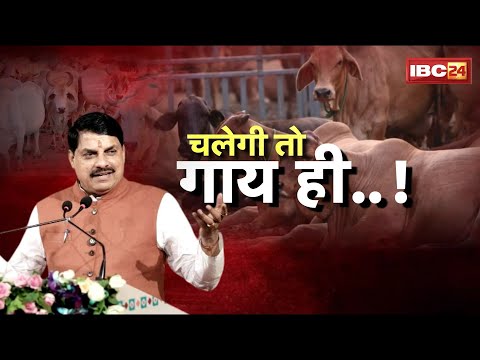 MP में गौ-नीति पर नई राजनीति! गाय साधे, सब सधै..! MP Politics। शह मात The Big Debate