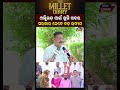 ଓଲ୍ଲିଉଡ଼ ପାଇଁ ଖୁସି ଖବର ସରକାର ନେବେ ବଡ଼ ଉଦ୍ୟମ Millet Diary || Odisha Prabhab