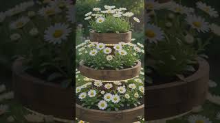 The Circular Daisy Fountain Garden#daisygarden #gardendesign #flowerfountain #diylandscaping