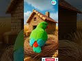 This Parrot Builds Its House In The Wheat Field And The Machine Destroys That HouseЁЯШн Ai Parrot This Parrot Builds Its House In The Wheat Field And The Machine Destroys That HouseЁЯШн Ai Parrot
