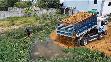 Great Job Started New Project!Dump Truck Loading Soil Flood Area Skills Bulldozer D31A Pushing Soil 