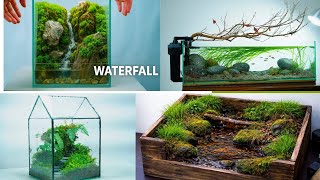 Does My Terrariums Really Work? | Update & Maintenance"