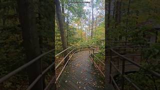Autumn Walk – Fall Colors in the Park 🍂 4K Nature Short for Autumn Lovers