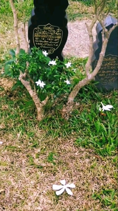 SHIERA MELAWAT KUBUR NENEK DI KEDAH, SHARIFAH ZAINAB AL HADAD