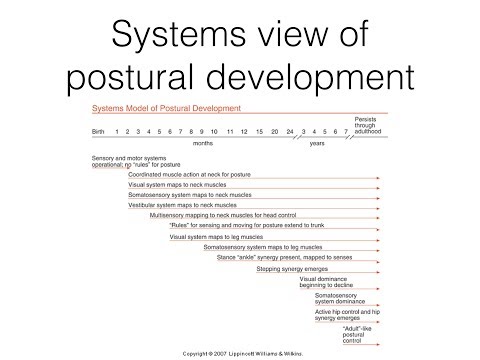 Development of postural