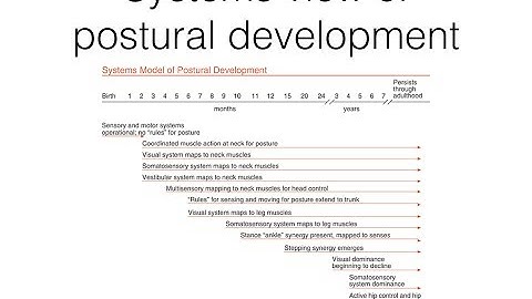 Development of postural control