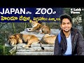 I found Hindu Gods' Idols in Japan's largest Zoo | Back to Childhood ♥️ | Yokohama Zoorasia