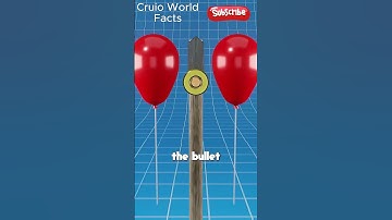 What REALLY Happens When a Bullet Hits an Axe