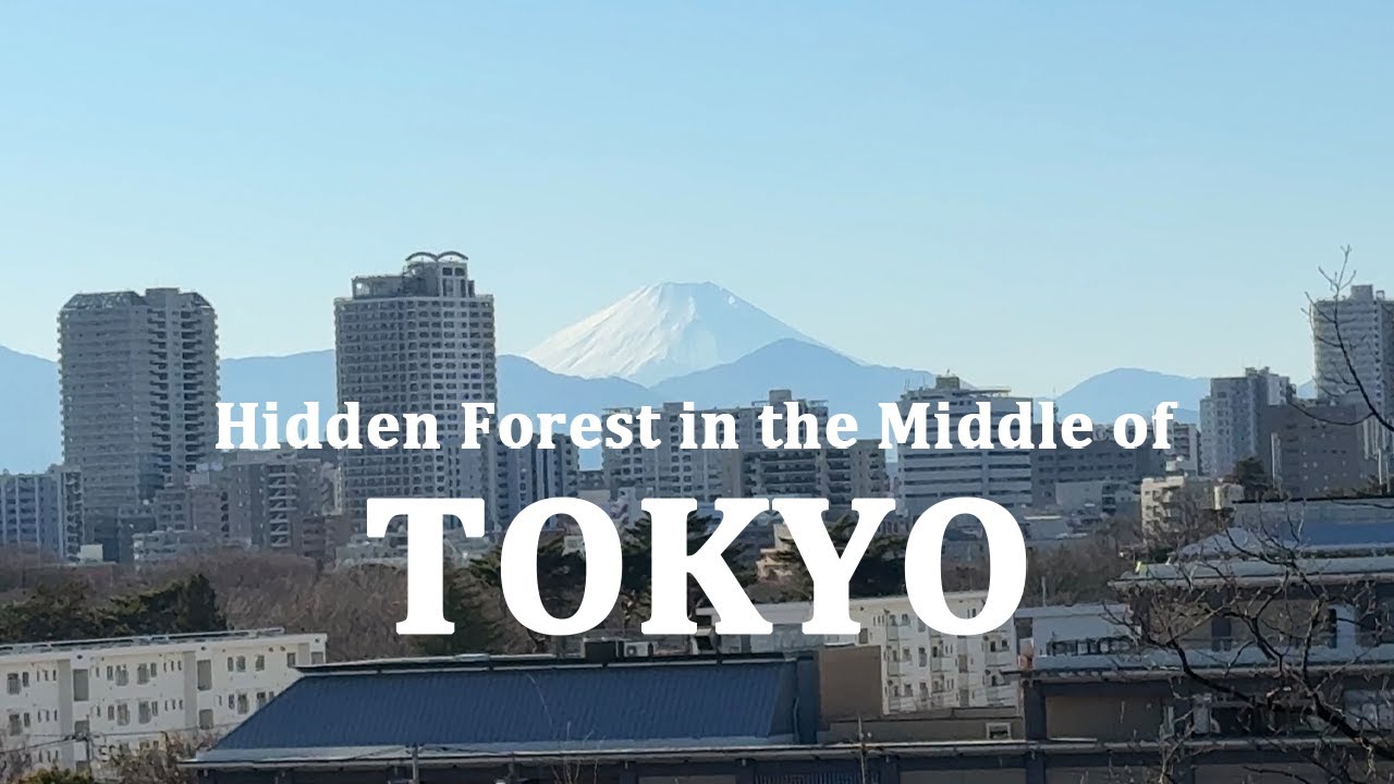 Hidden Mt. Fuji Viewing Spot in the Middle of Tokyo.