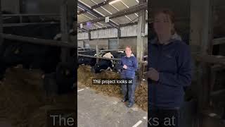 BEEF2026 Open Day - Ciara Blaney