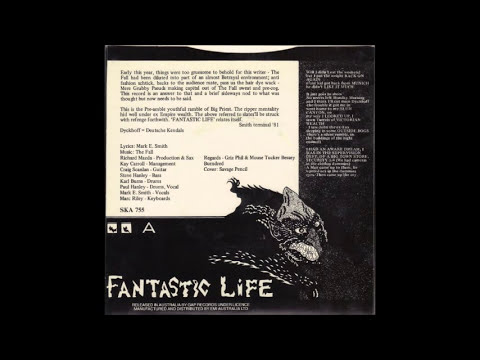 The Fall - Fantastic Life