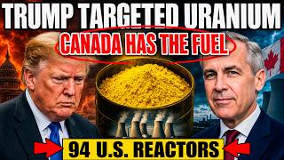 Trump Put a Tariff on Canada's Uranium. What He Forgot Powers 94 U.S. Reactors.